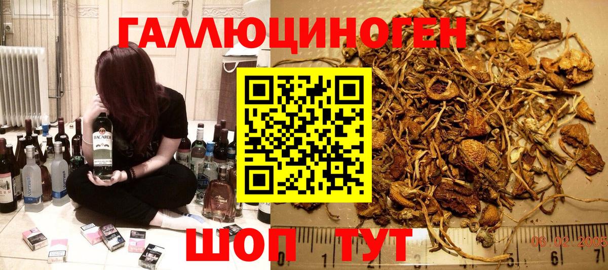 Галлюциногенные грибы Psilocybe Балашиха