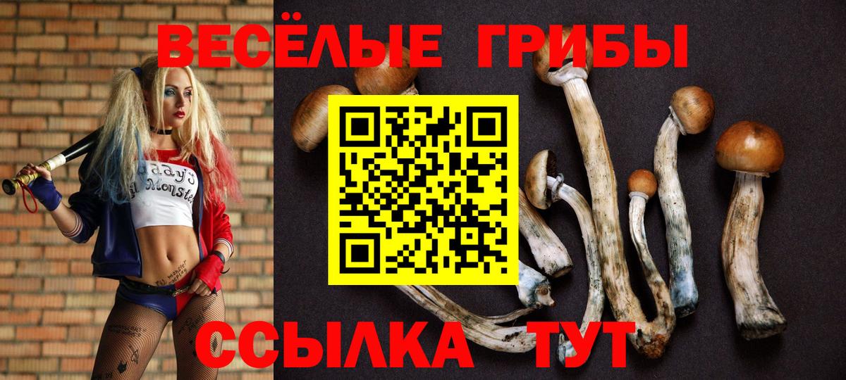Балашиха  Псилоцибиновые грибы GOLDEN TEACHER  Псилоцибиновые грибы мицелий  где купить наркоту  Вход с VPN 